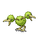 doduo f