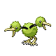 doduo