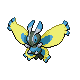 mothim