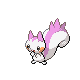 pachirisu f