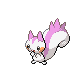 pachirisu
