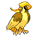 pidgeot