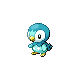 piplup