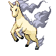 rapidash