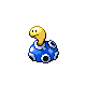 shuckle