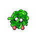 tangela