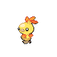 torchic