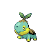 turtwig