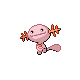 wooper