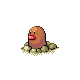 diglett