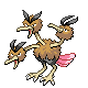 dodrio f