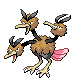 dodrio
