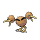 doduo