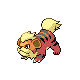growlithe