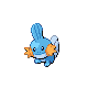 mudkip
