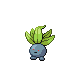 oddish