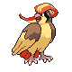 pidgeot