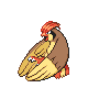pidgeotto