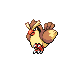 pidgey