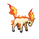 ponyta