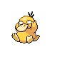 psyduck