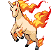 rapidash