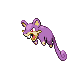 rattata f