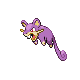 rattata