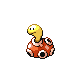 shuckle