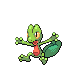 treecko