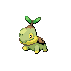 turtwig