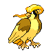 pidgeot