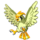 pidgeotto