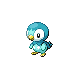 piplup