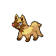 poochyena