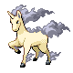 rapidash