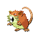 raticate f