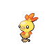 torchic