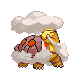 torkoal