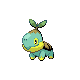 turtwig