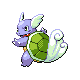 wartortle