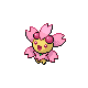 cherrim sunshine