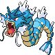 gyarados f