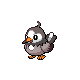 starly f