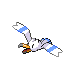 wingull