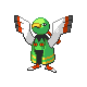 xatu f