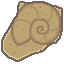 helix fossil