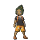 hau stance
