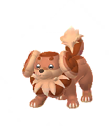 go male shiny preview