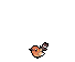 msikma pokesprite gen8 male shiny